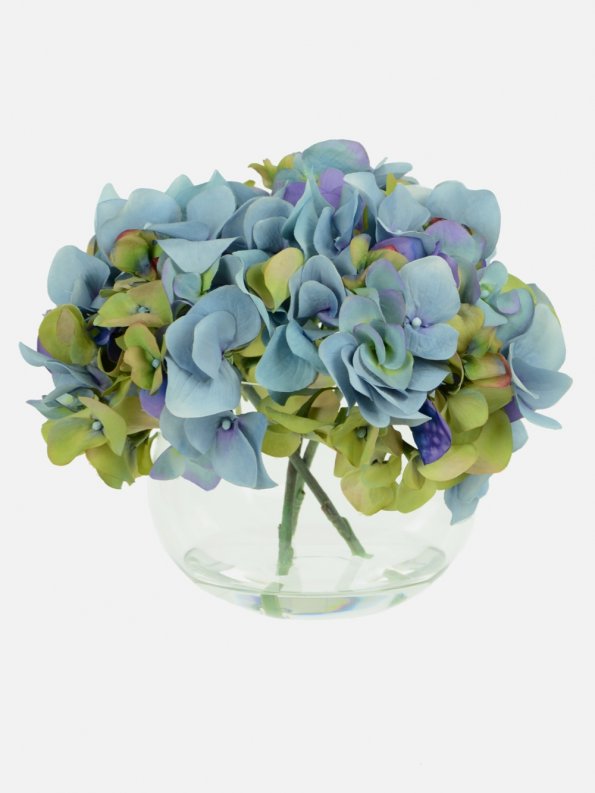 Blue Hydrangeas in Vase